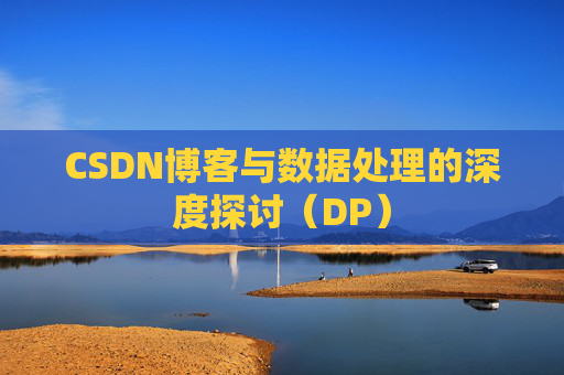 CSDN博客与数据处理的深度探讨（DP）